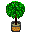 Bonsai