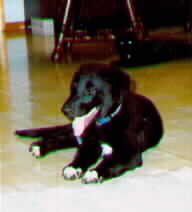 BUBBA
