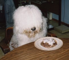 Dofess and cake