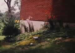 Rock Garden