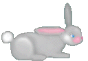 bunny
