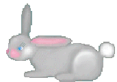 bunny