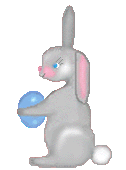 bunny
