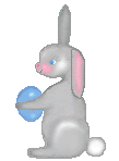 bunny