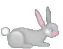 bunny