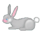 bunny