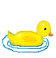 duck1