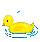 duck2