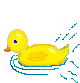 duck22