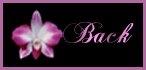 back button