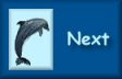 next button