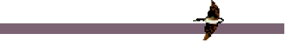 bar2