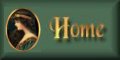 home button