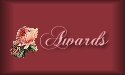 awards button