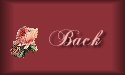 back button