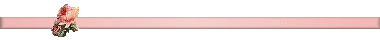 woman rose bar