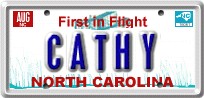 cathplate.jpg (11094 bytes)
