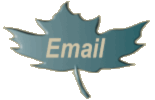 emailbutt04.gif (4951 bytes)