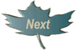 nextbutt04.gif (4860 bytes)