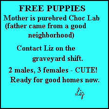 Free Puppies