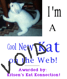 New Kat Page