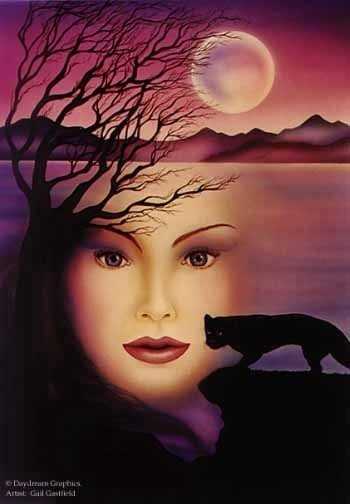 Moon Shadow