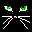 cat face