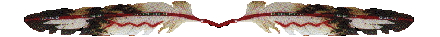 feather