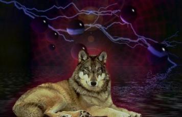 Stormwolf