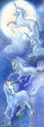 unicorn