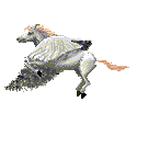 pegasis