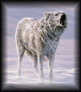  WhiteWolf