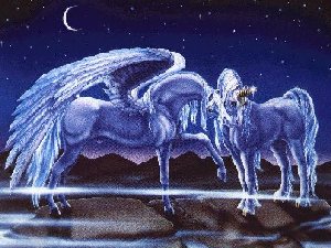 Unicorn & Pegasus