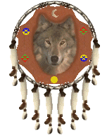Wolf Dream Catcher
