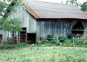 Barn #21 - Eastern TN