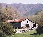 CLICK to take a look at the barn photos!