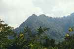 Chimney Tops as viewed from Newfound Gap Road
