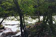 Little River White Water