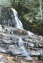 Laurel Falls