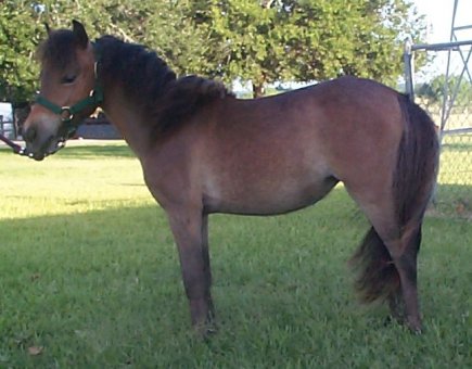 Belle Jun 8, 2002