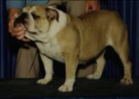 Tuffy champion