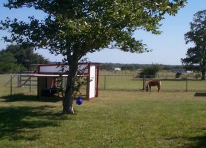 Fiesta's new house