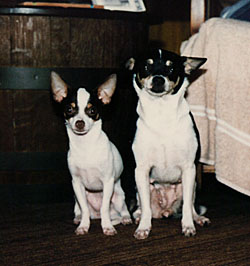 Mitsy & Mouse