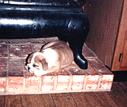 Tuffy