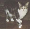 photo of Mickey
