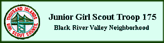 Junior Girl Scout Troop 175