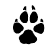 bigpaw.gif (1245 bytes)