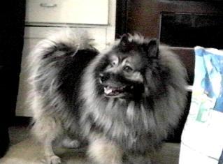 Prince