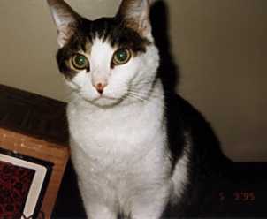 Quin