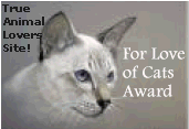 For The Love Of Cats